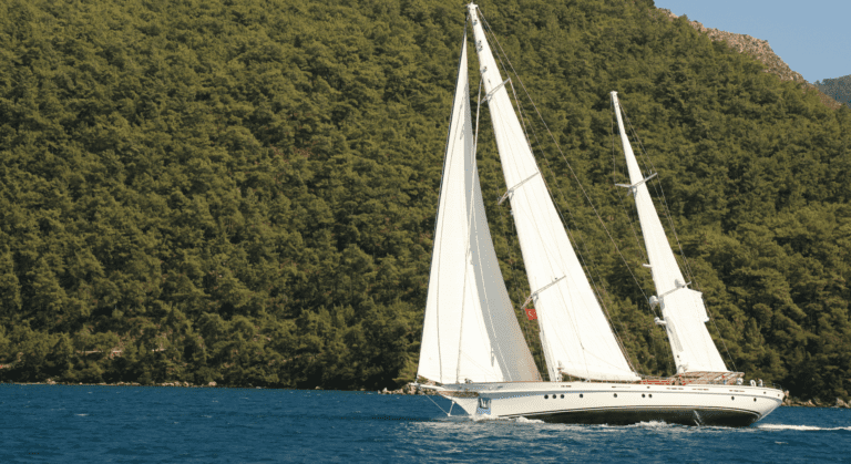 yacht charter