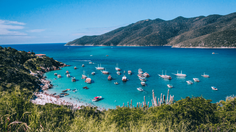 choosing boats - boats on shore